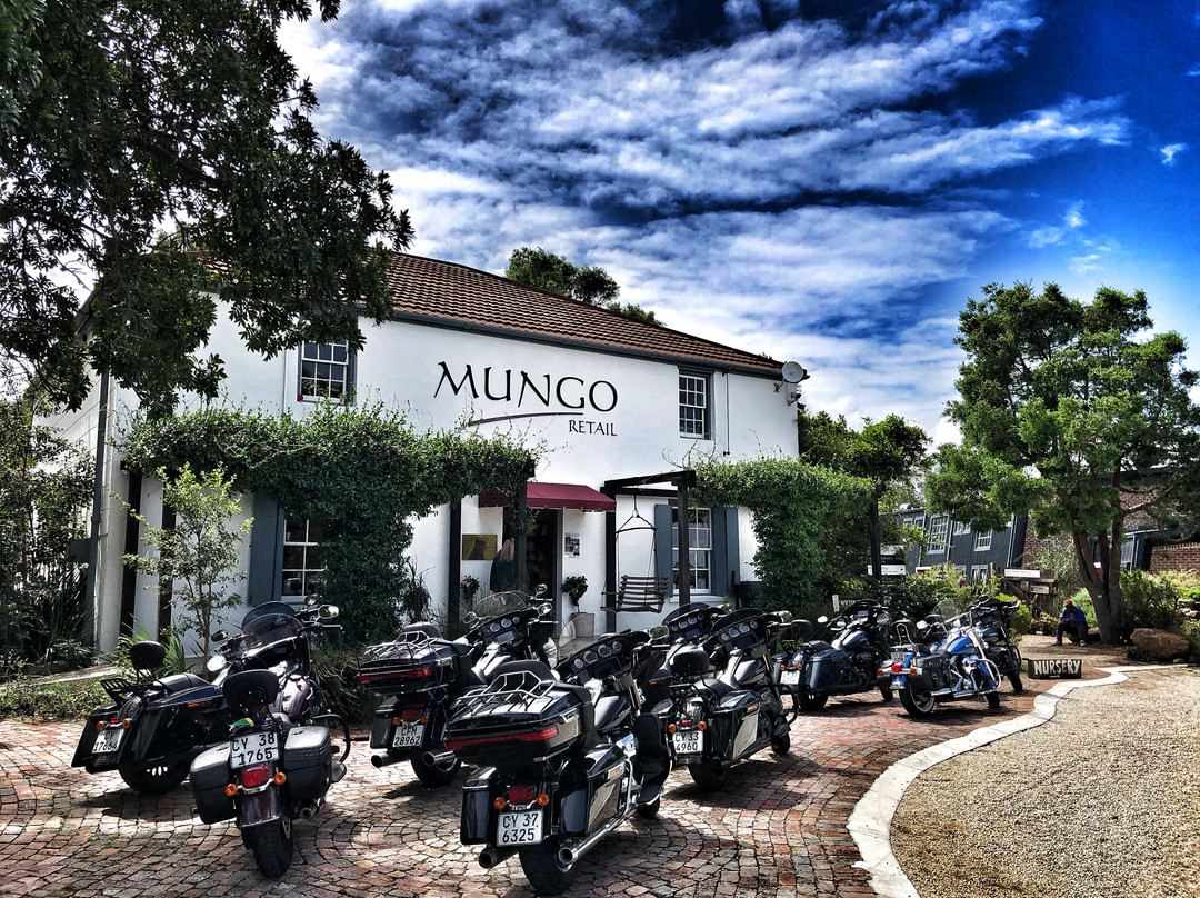 Mungo Mill景点图片
