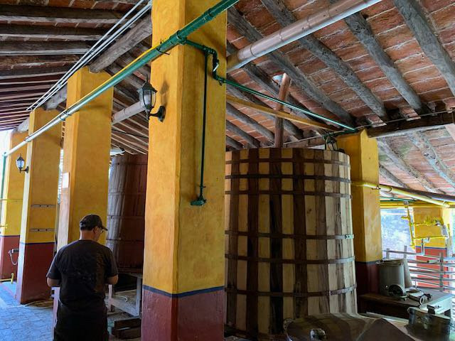 Turtle Tours Mazatlan-马萨特兰必去景点