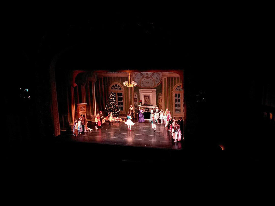 Carolina Theatre景点图片