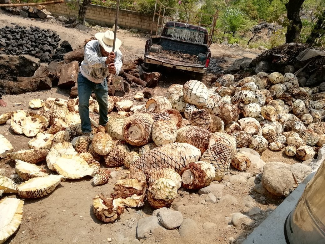 Pulqueria La Sed-Malinalco必去景点