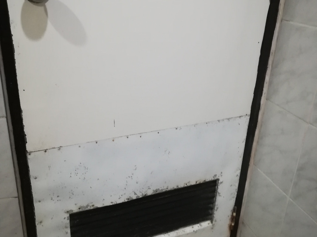 西巴雅克国际酒店主图