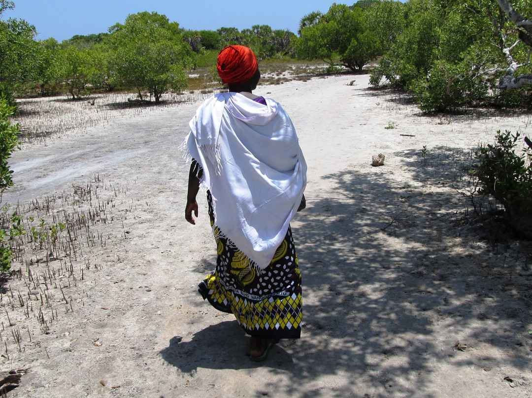 Gazi Mangrove Boardwalk-乌库达必去景点