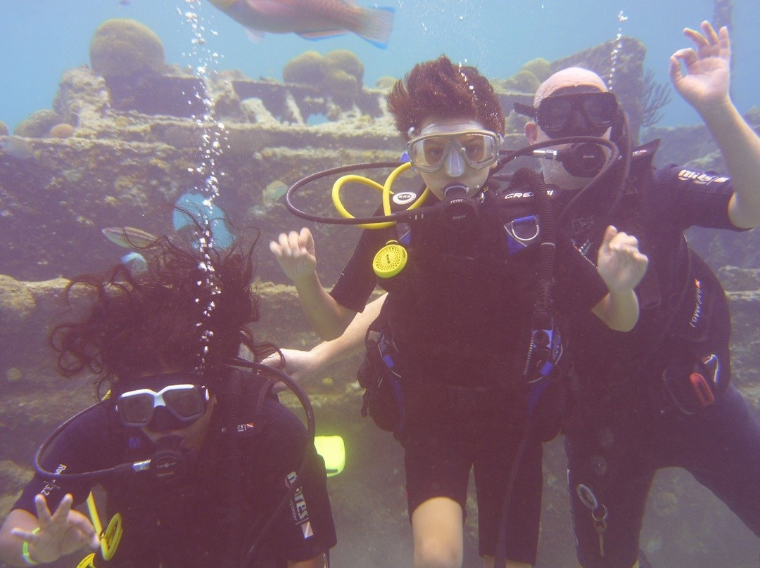 Sublime Diving Curacao-威廉斯塔德必去景点