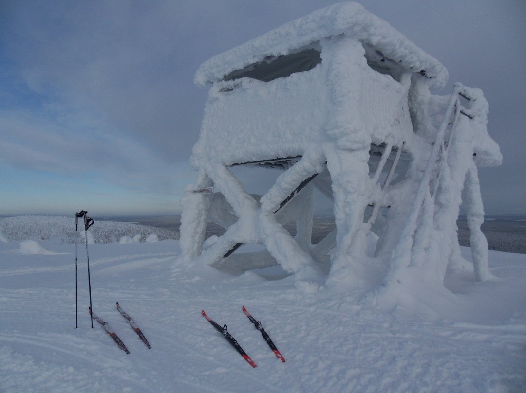 Ruuhitunturi Lookout Tower-Salla必去景点