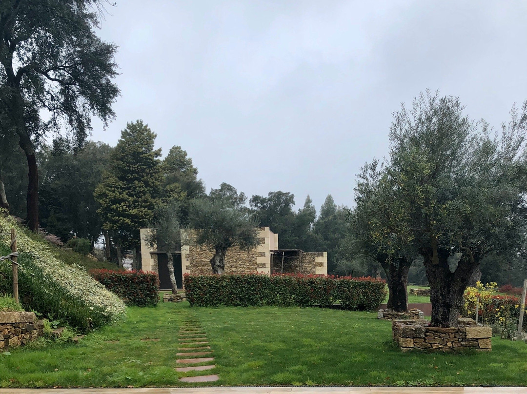 Bosque Da Harmonia主图