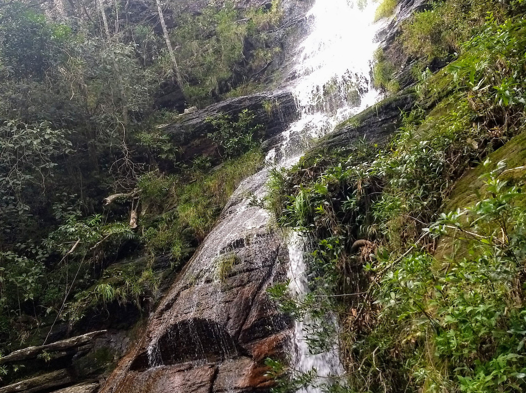 Santuário Ecológico Vale Dourado景点图片
