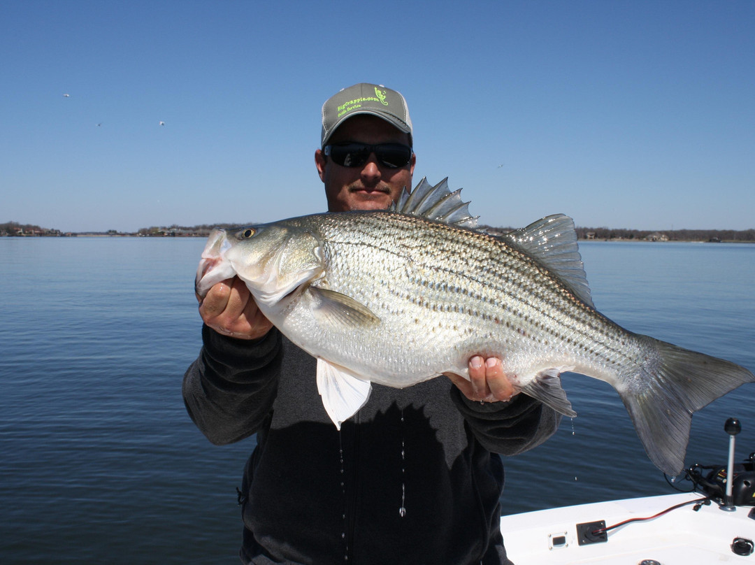 BigCrappie.com Fishing Guide Service-Gun Barrel City必去景点
