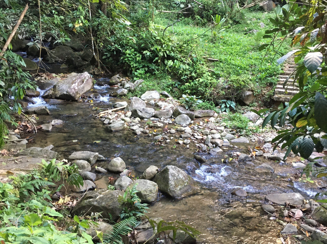 Gunung Nuang景点图片