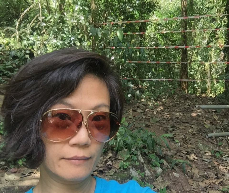 Parit falls-丹那拉塔必去景点