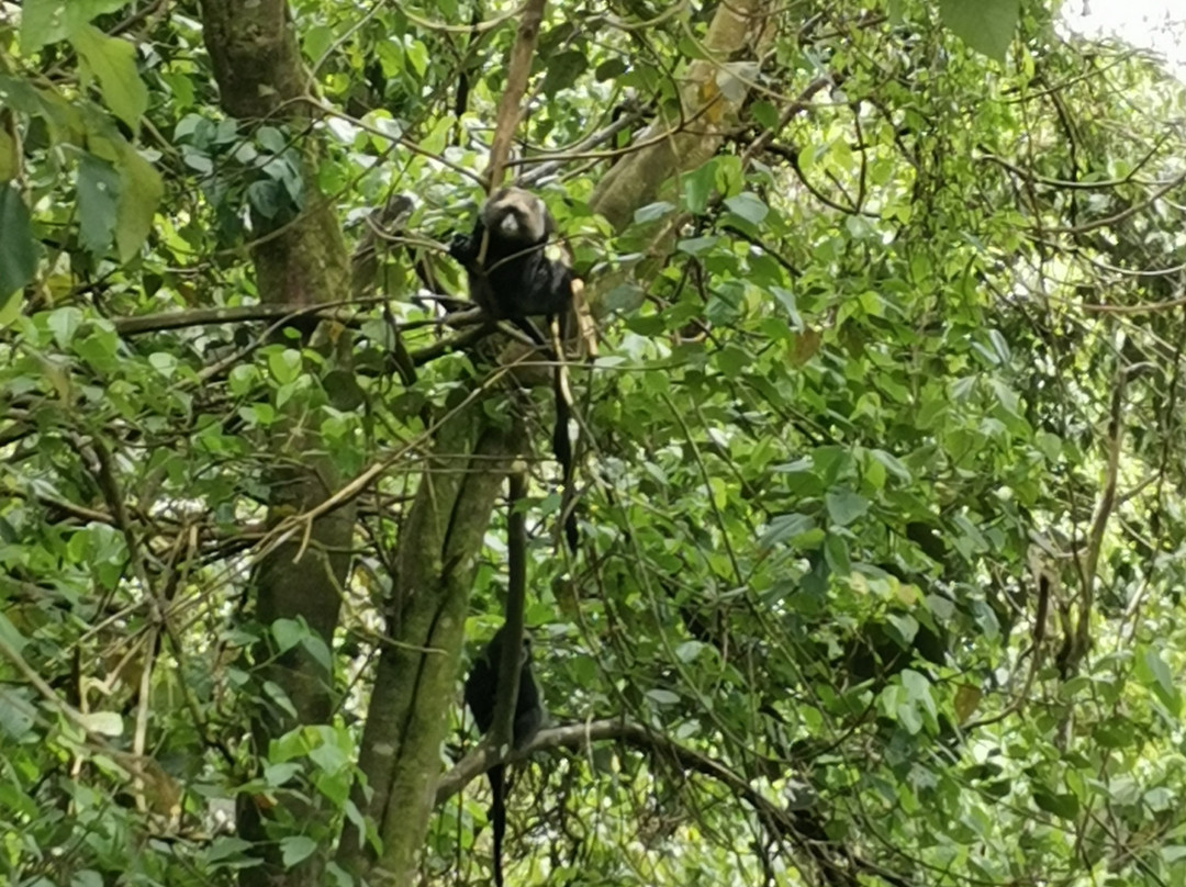Arctic Tanzania Adventure-阿鲁沙必去景点