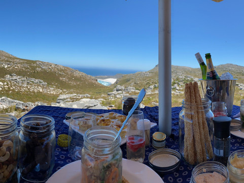 Cape Town Fynbos Experience-开普敦中心区必去景点