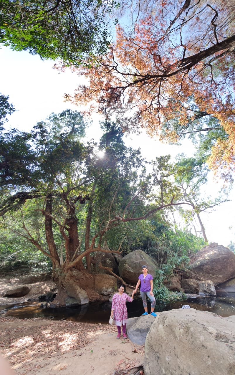 Tabernacle Homestay-官方