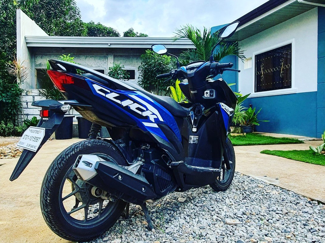 Panglao Trip Bike Rent景点图片