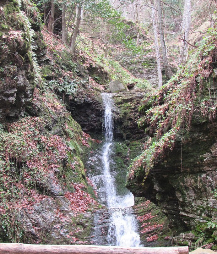 Sotiri Rema-Elatochori必去景点