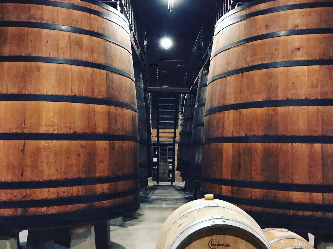 Bodega Murua景点图片