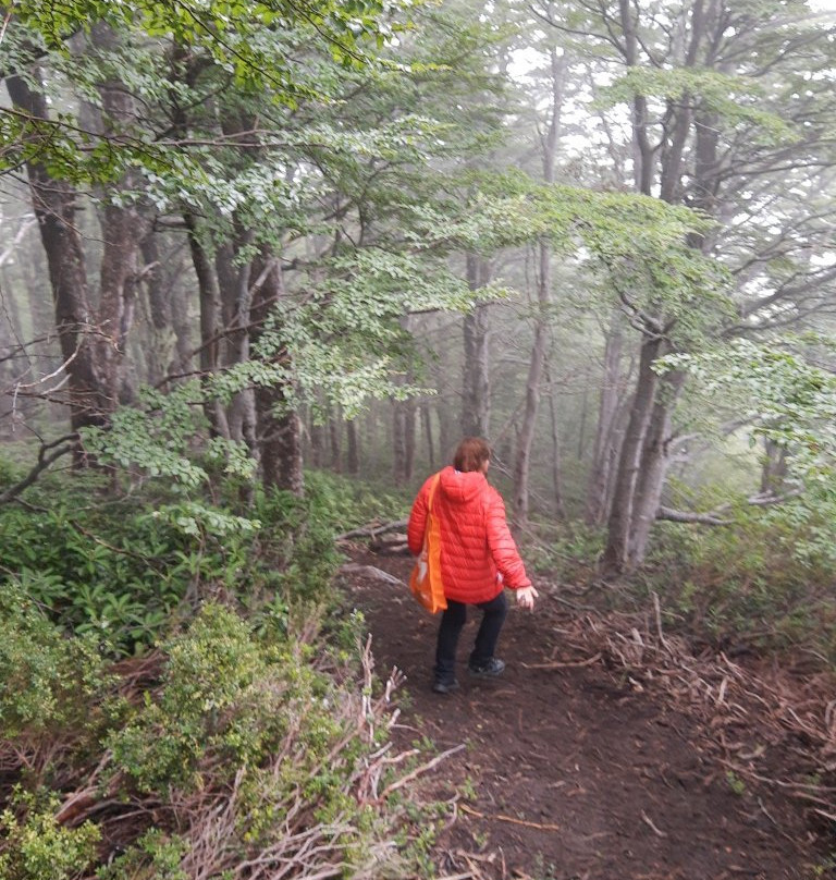 Reserva Nacional Mocho Choshuenco-Choshuenco必去景点