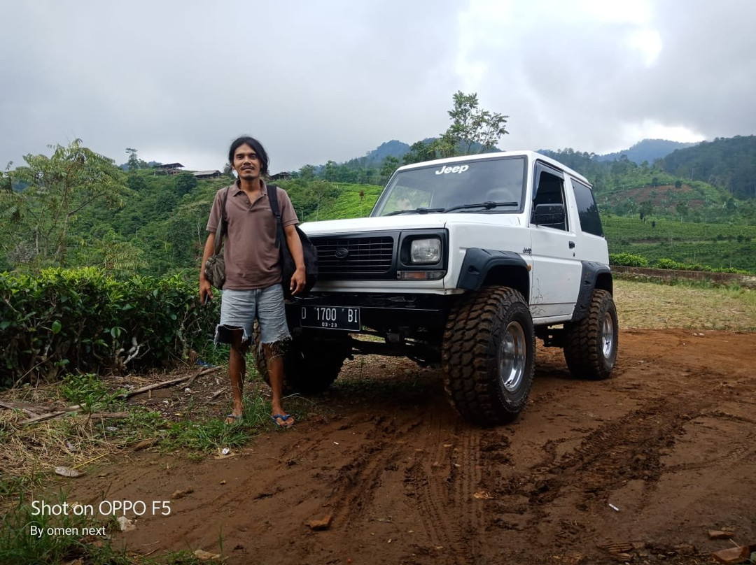 Cipasung Tea Plantation-Majalengka必去景点