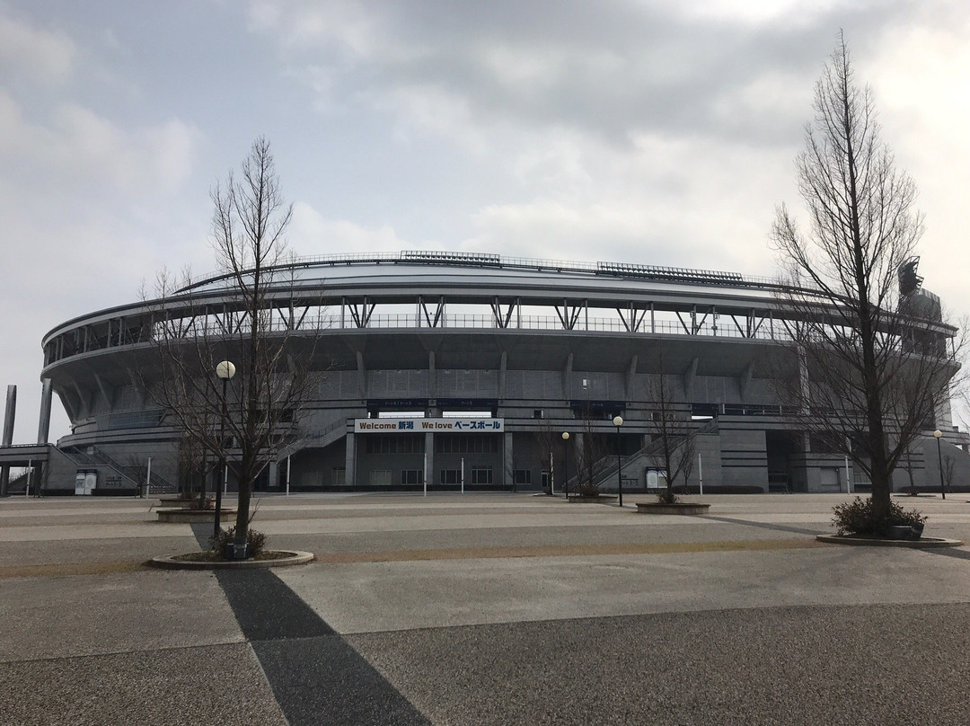 Toyanogata Park景点图片