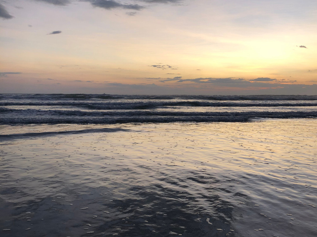 Shaka Costa Rica主图