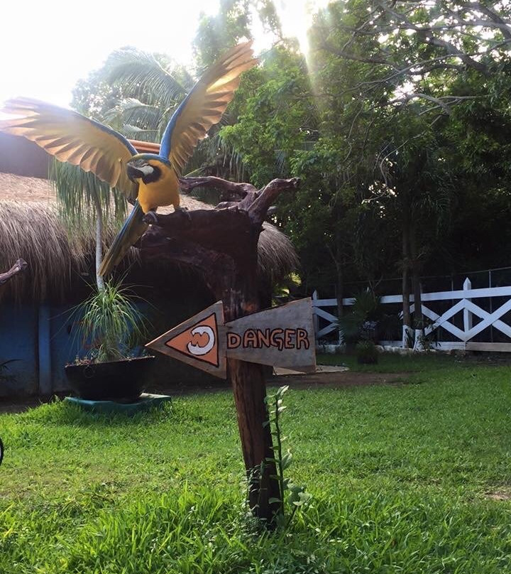 Bel Air Collection Resort & Spa Riviera Maya主图