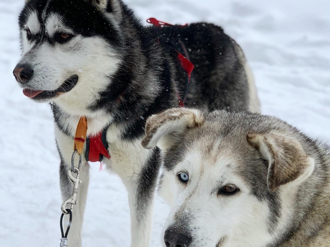 Secrets Nordiques Day Tours-博普雷必去景点