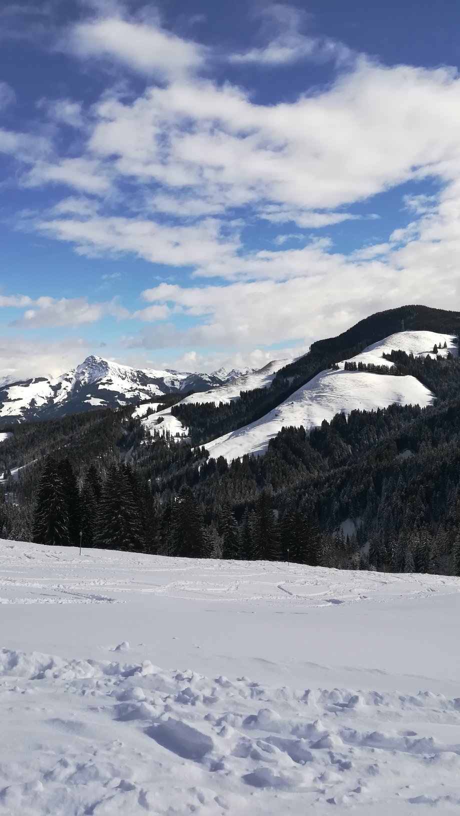 Landhaus Scheffauerhof-官方