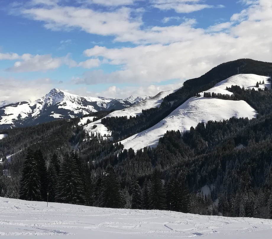 Landhaus Scheffauerhof主图
