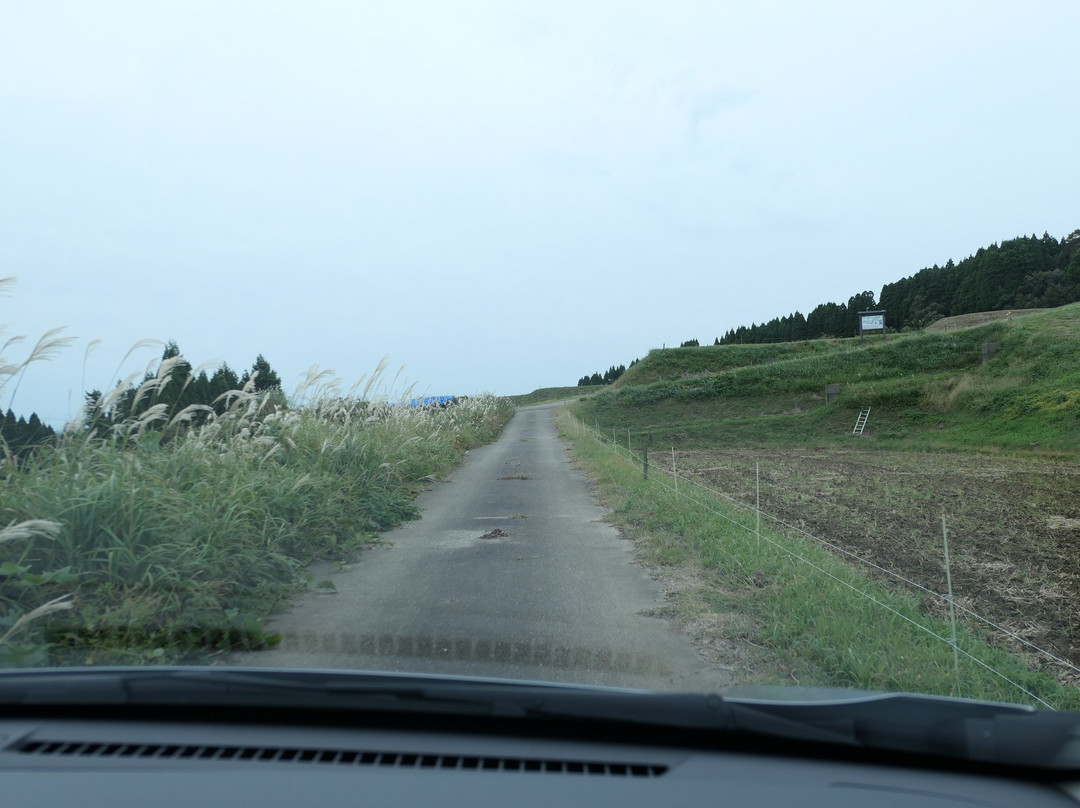 Nagasaka Rice Terraces景点图片