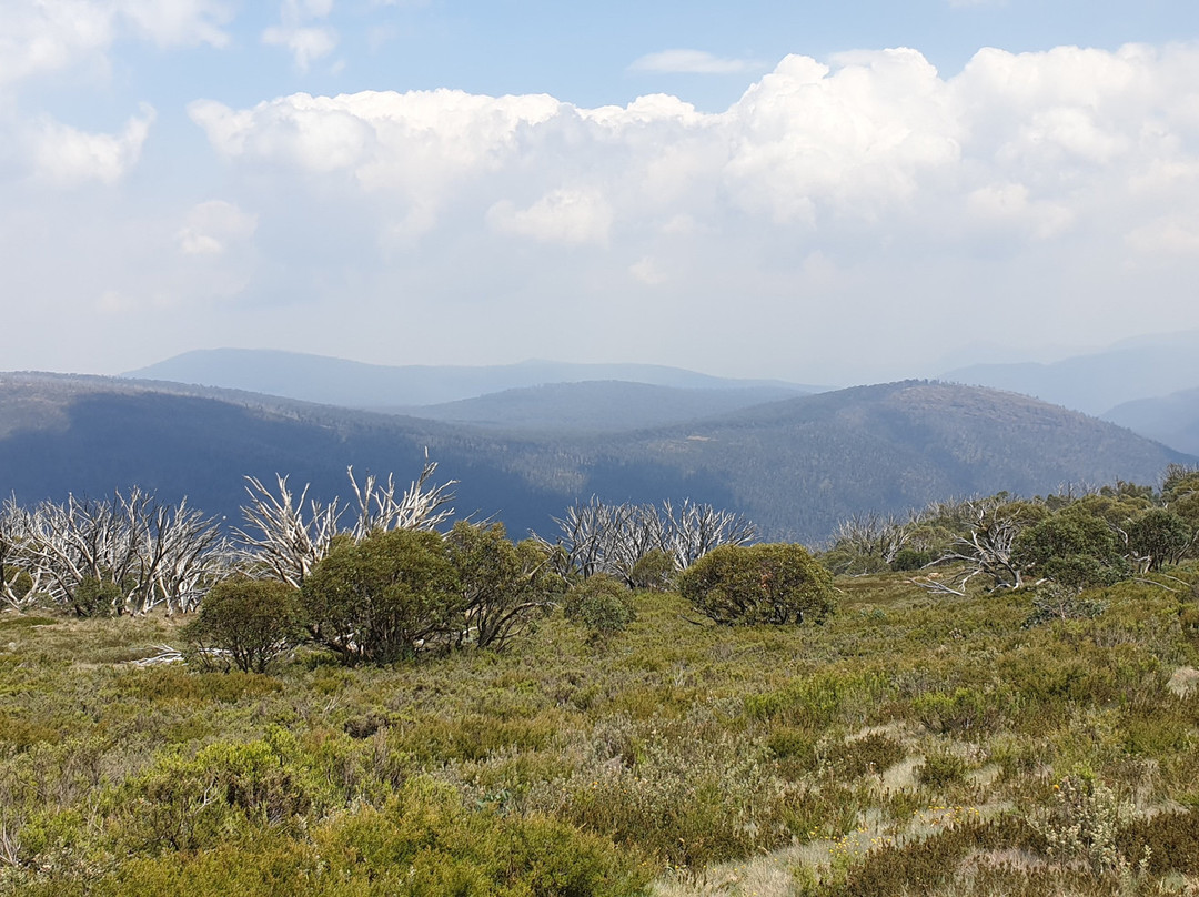 Snowy Range Horseback Tours-Heyfield必去景点
