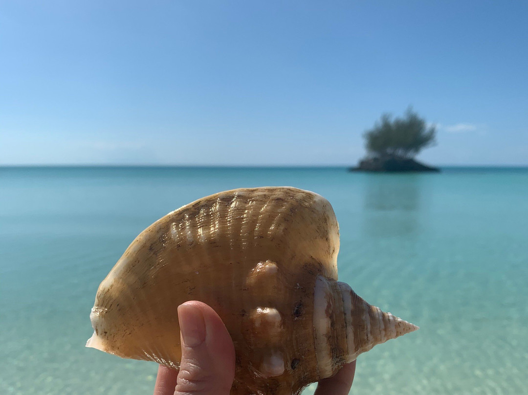 Gaulding's Cay-伊柳塞拉必去景点