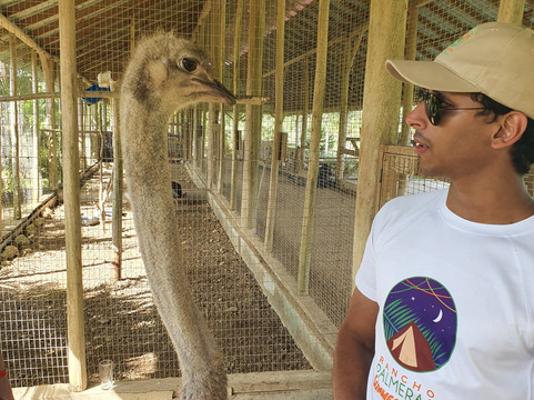 Rancho Palmeras-Cap Cana必去景点