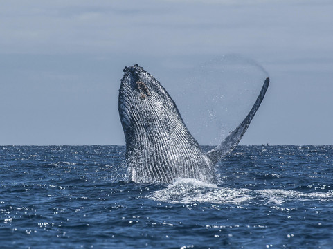 Double Deep diving center-诺西贝必去景点