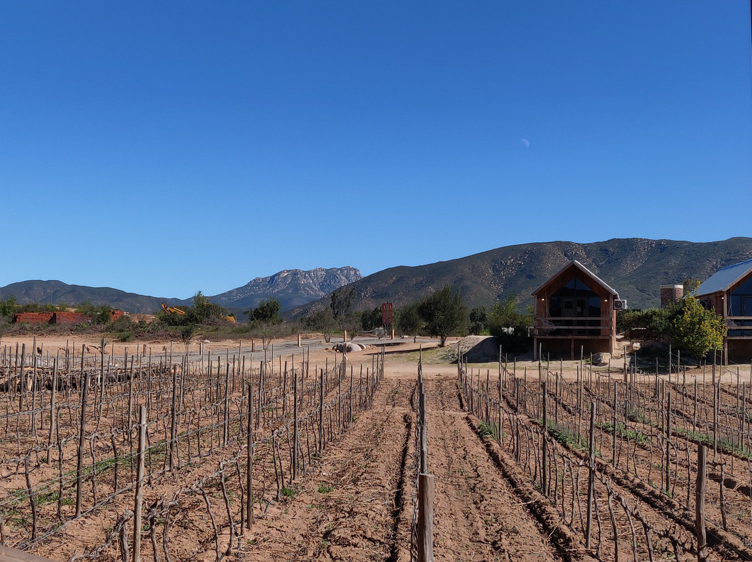 Baja Wine And Dine景点图片