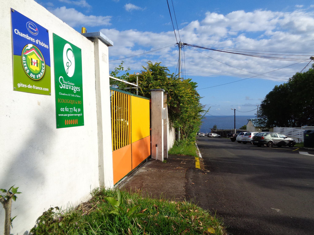 L'Arbre de vie主图