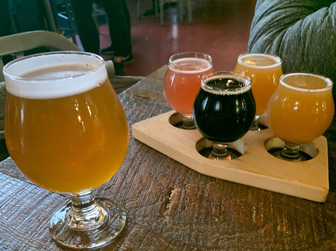 The Virginia Beer Company-威廉斯堡必去景点