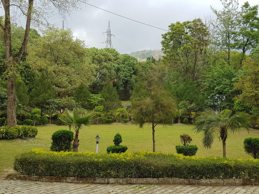 Chirping Hills Resort, Bhimtal主图