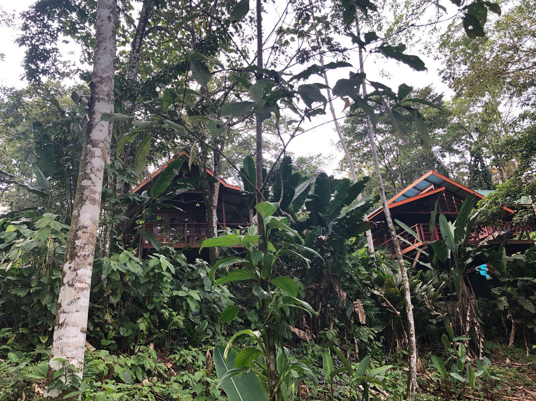 Surf Break at Paunch主图