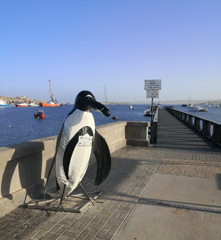 Penguin Catamaran Tours景点图片