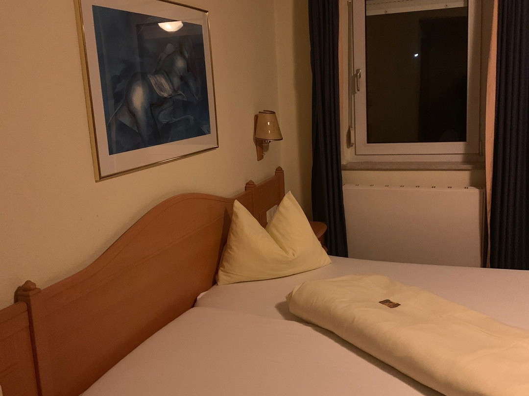 Hotel-Gasthof Am Forsthof主图