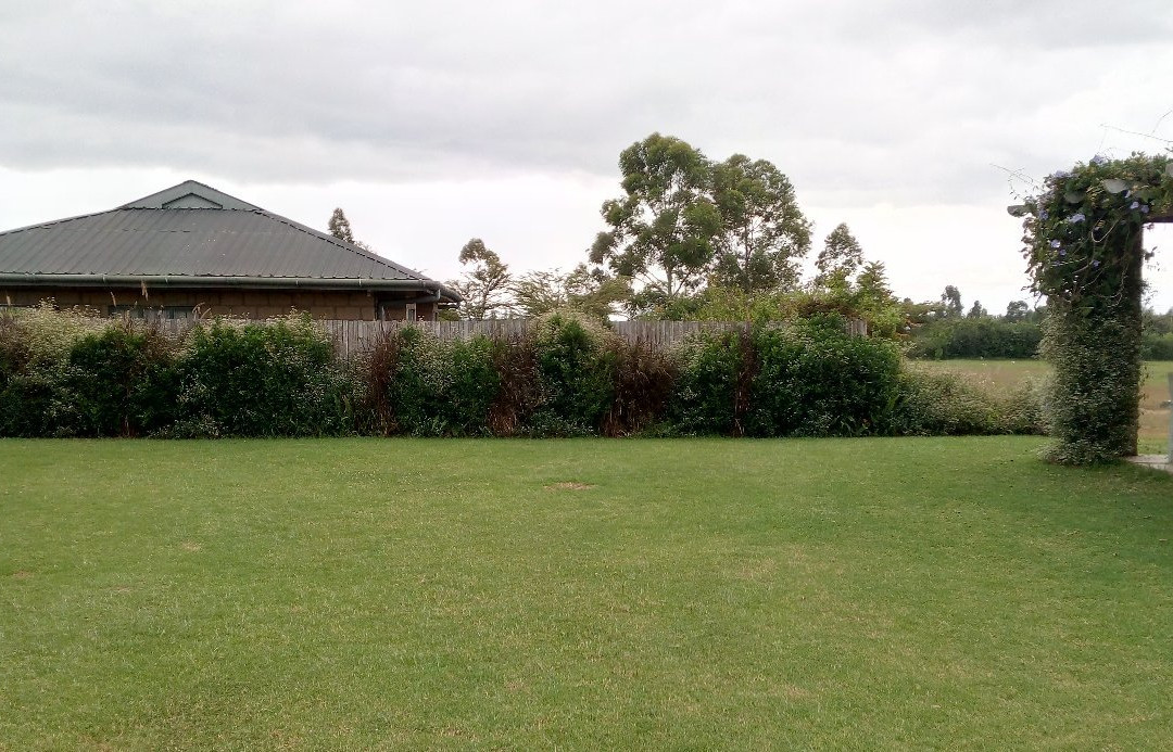 Soames Hotel & Jack's Bar主图