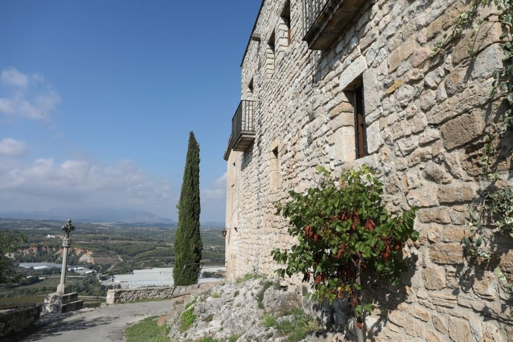 Castell de Subirats景点图片