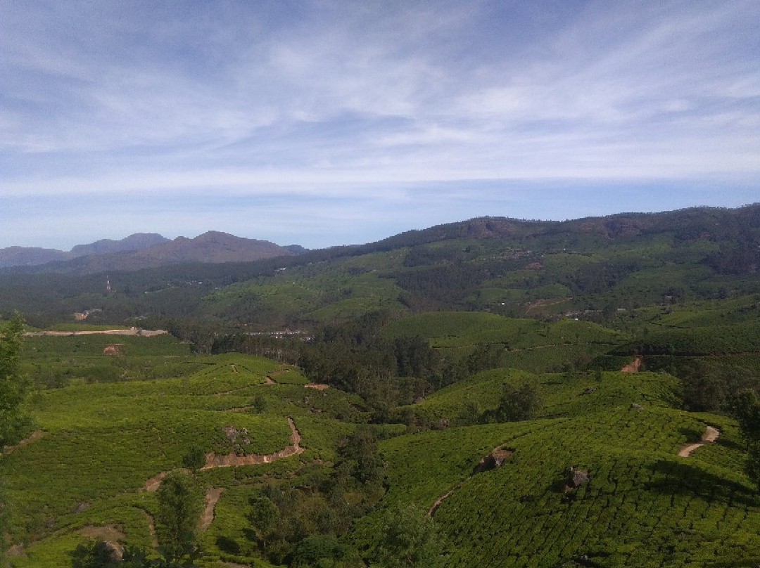 Munnar Taxi Sevice景点图片