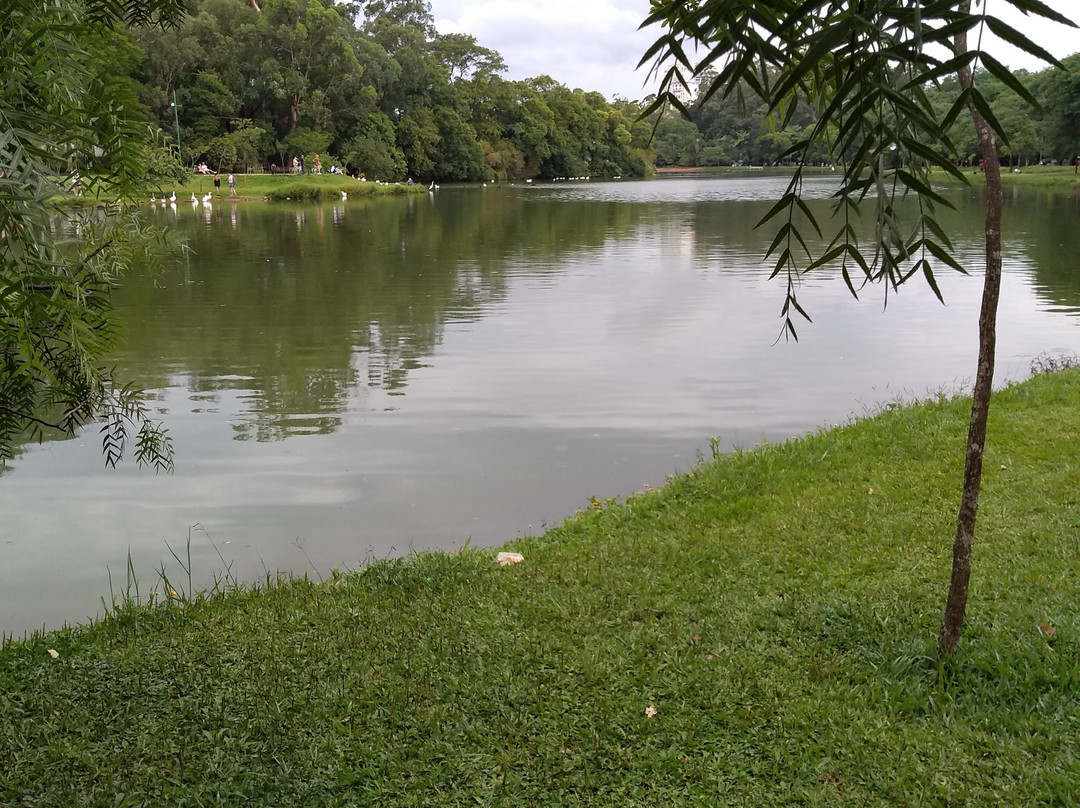 伊比拉布维拉公园-圣保罗必去景点