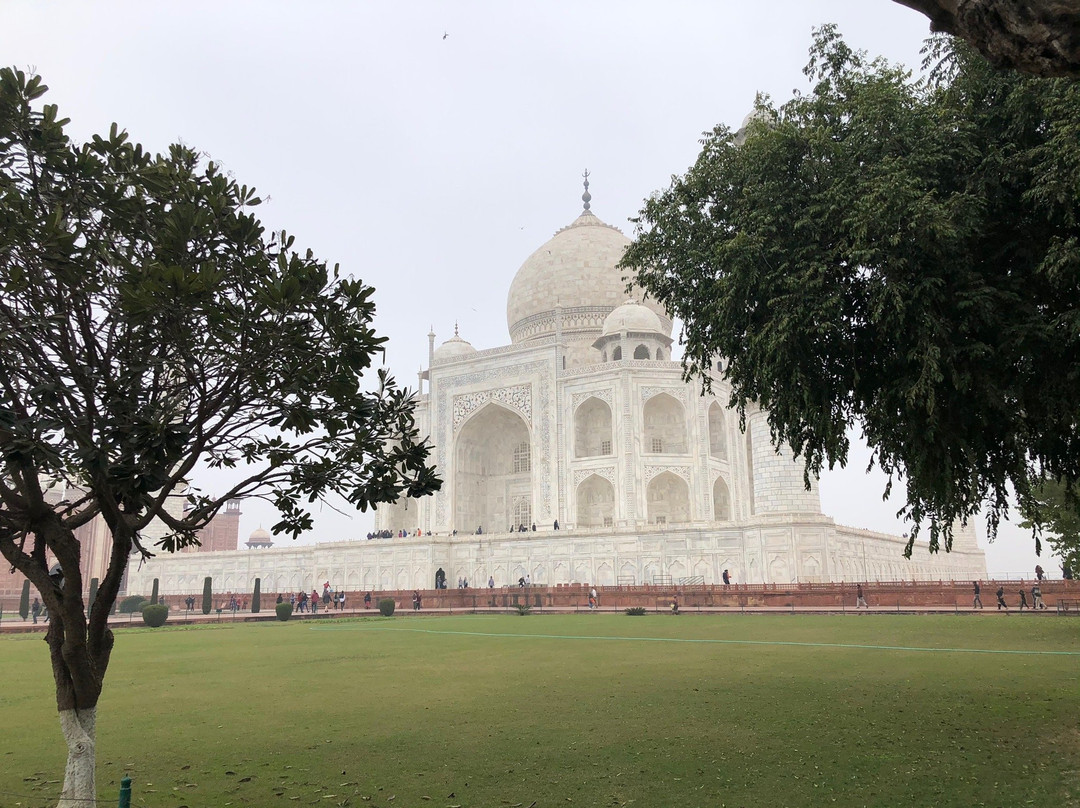 Private Car In India景点图片
