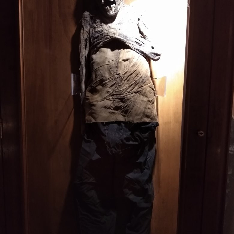 Museo de las Momias de Celaya景点图片
