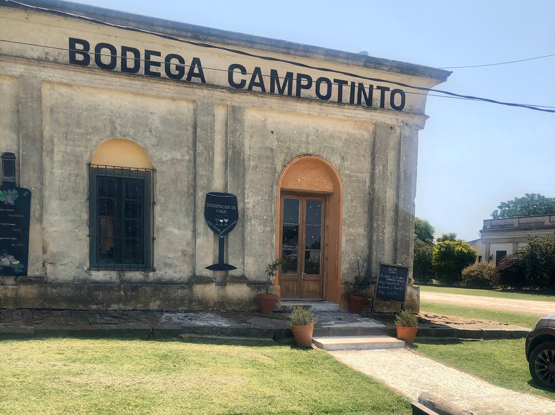 Bodega Campo Tinto-Carmelo必去景点