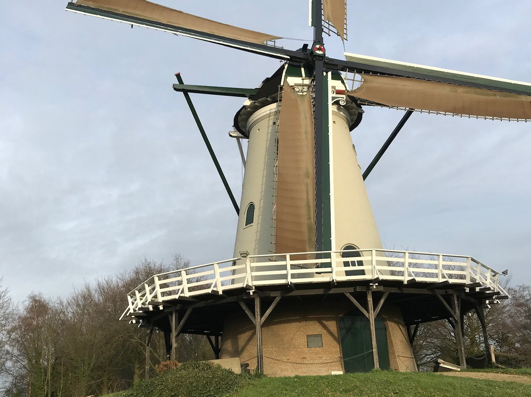 Stellingkorenmolen De Windhond-索斯特必去景点
