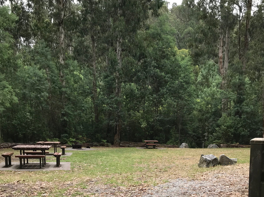 Lawson Picnic Ground景点图片