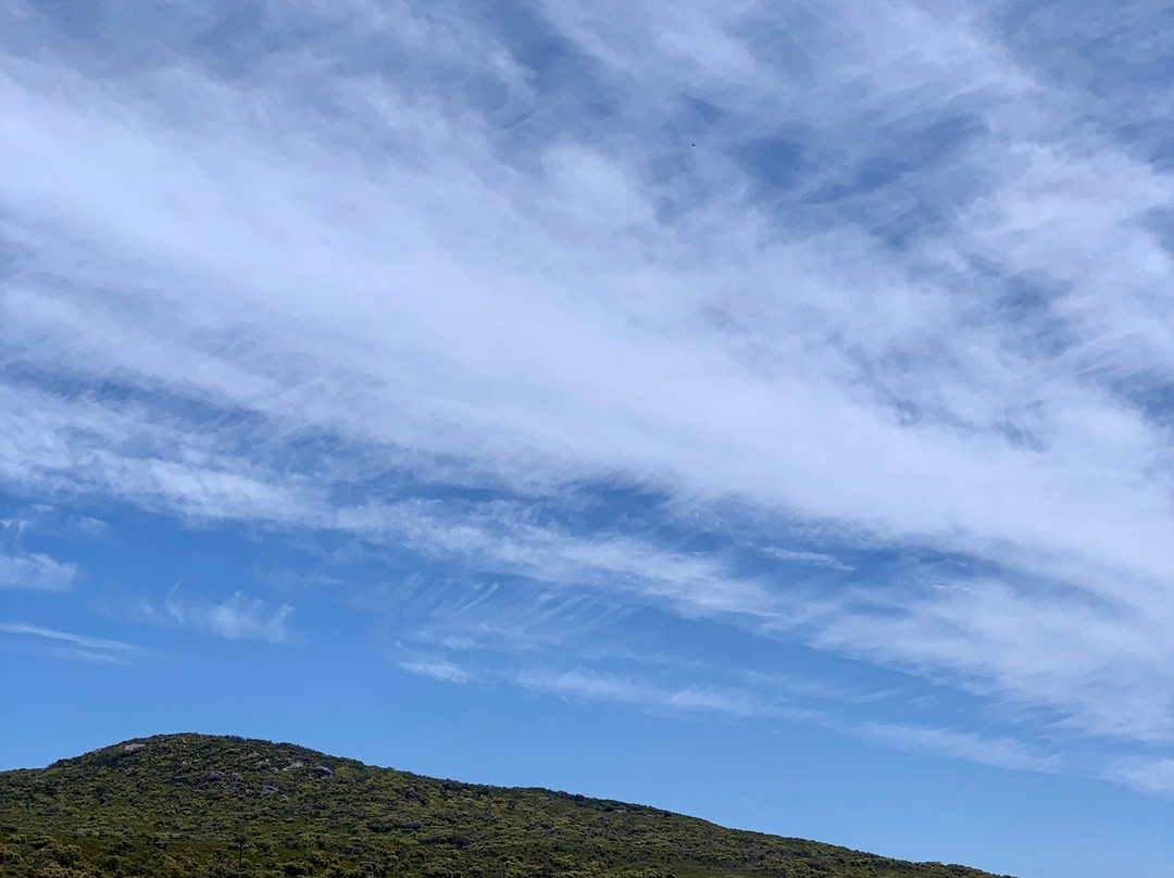 Frenchman Bay-奥尔巴尼必去景点