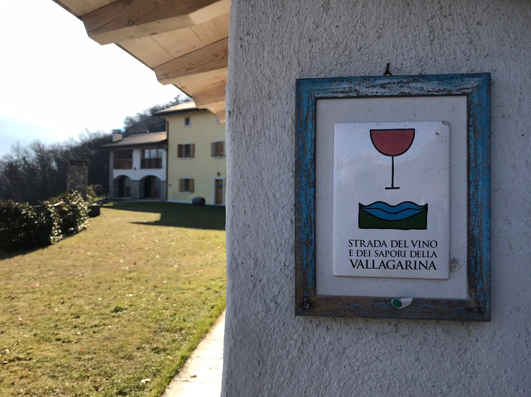 Maso Carpenè主图